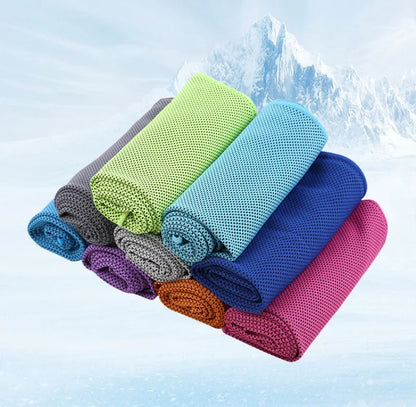 Instant Dry Sports Towel With Case