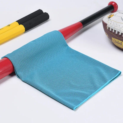 Instant Dry Sports Towel With Case