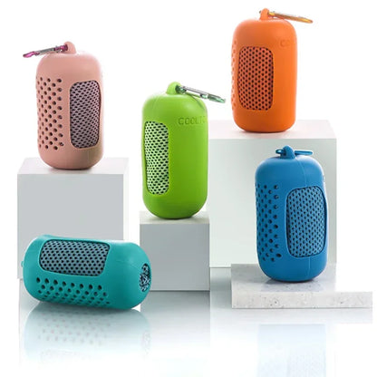 Instant Dry Sports Towel With Case