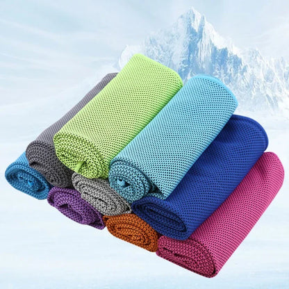 Instant Dry Sports Towel With Case